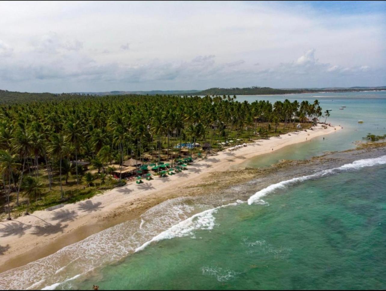 Flat Beira Mar - Carneiros Beach Resort ตามังดาเร ภายนอก รูปภาพ
